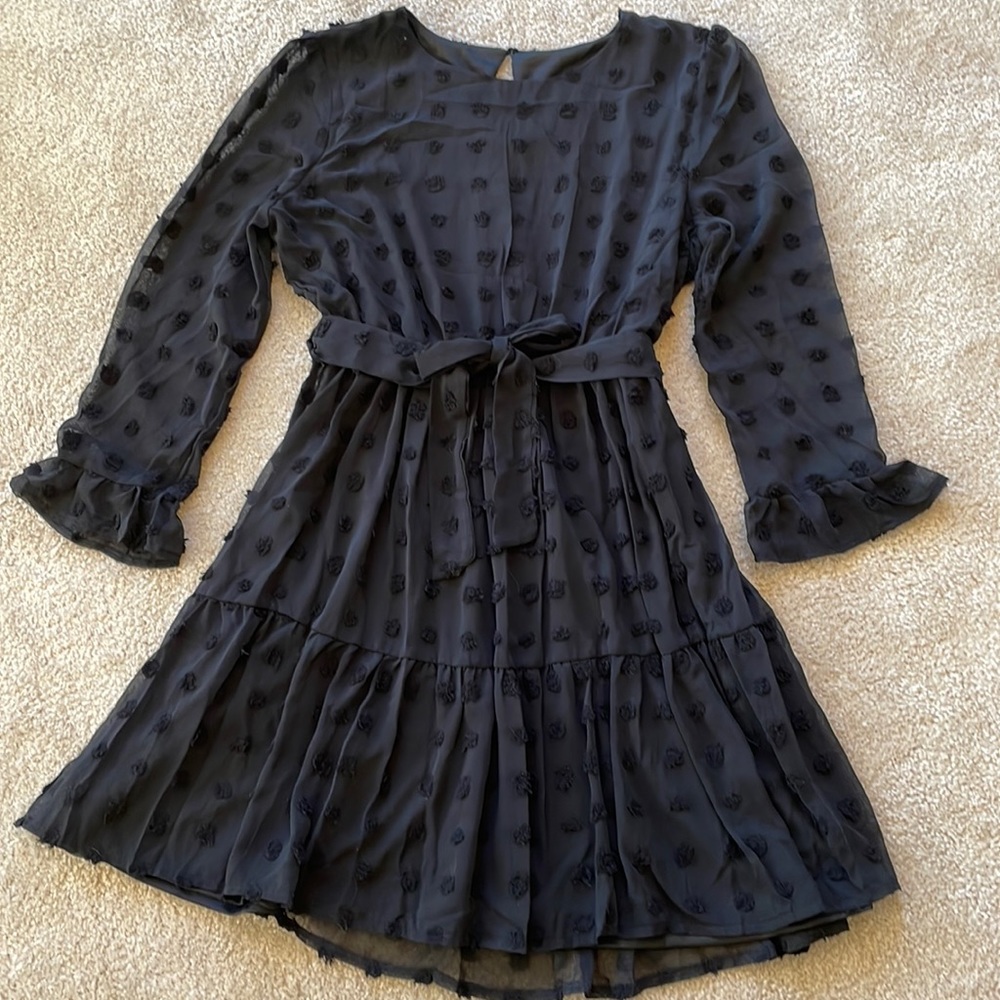 🍉 NWT! Sz Medium Long Sheer Sleeves Round Neck  Swiss Dot